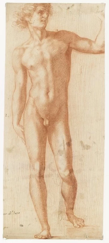 Uomo nudo, in piedi, visto di fronte - Museo del Louvre, Parigi